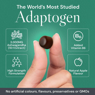 Ashwagandha Gummies On The Go Pouch