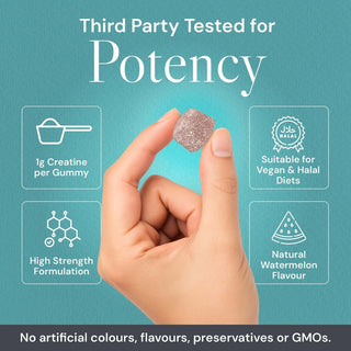 Creatine Gummies - Watermelon