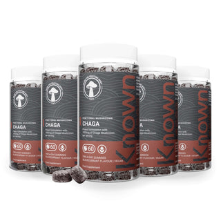 Chaga Mushroom Gummies