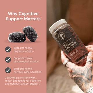 High Strength Lion's Mane