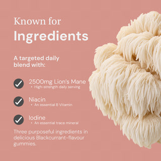High Strength Lion's Mane
