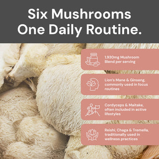 Multi Mushroom Gummies On The Go Pouch