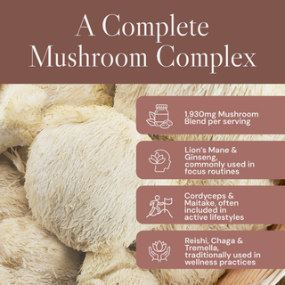 Multi Mushroom Gummies