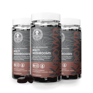 Multi Mushroom Gummies