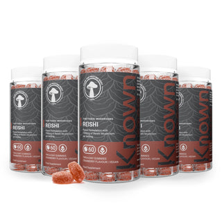 Bonbons gélifiés végétaliens aux champignons Reishi 